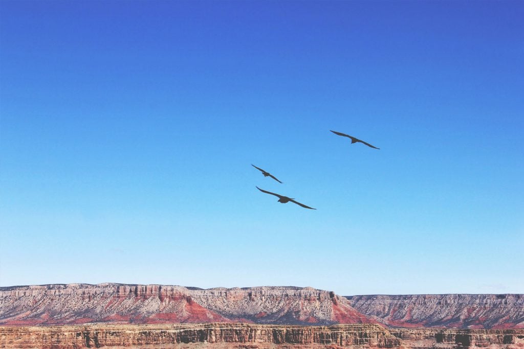 eagle point