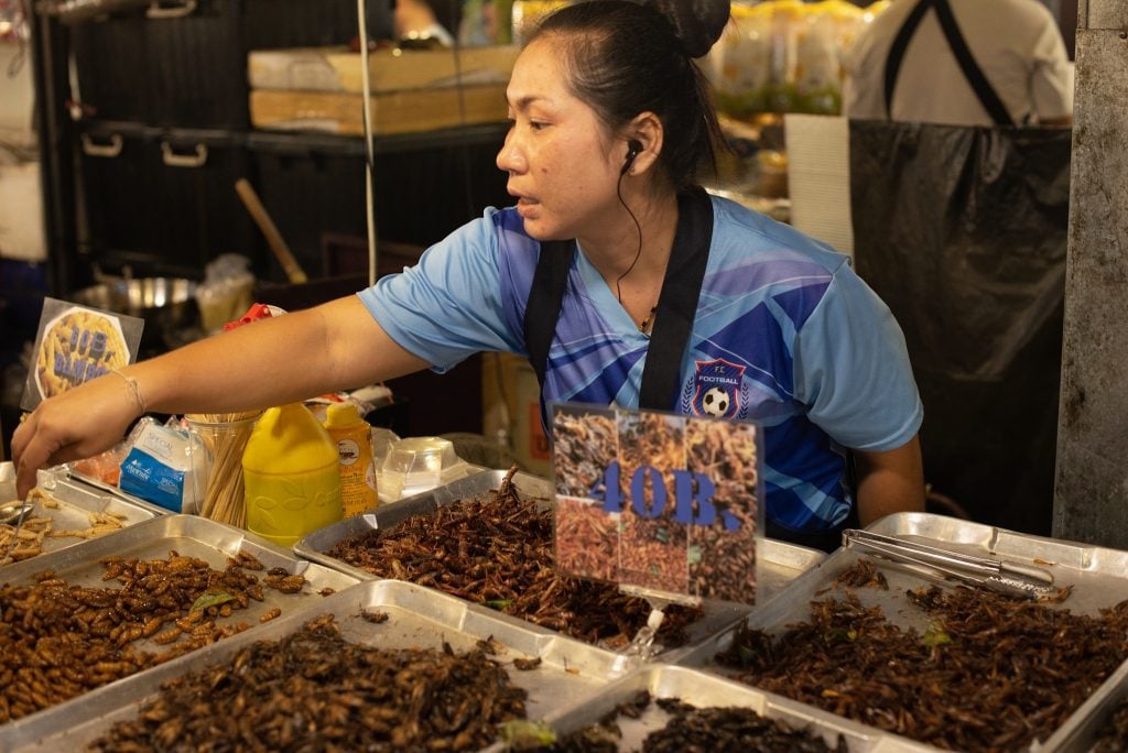 泰國炸昆蟲