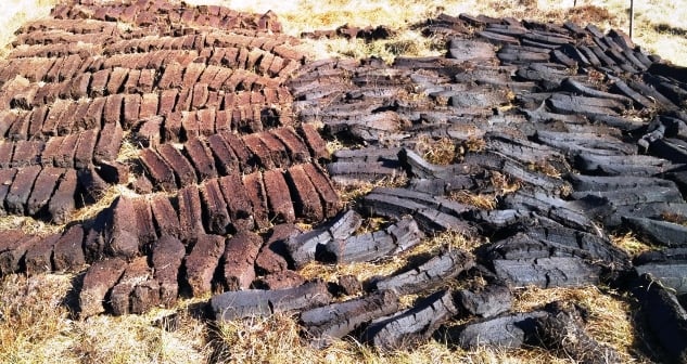 peat